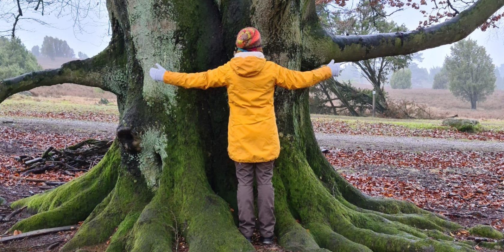Waldyoga mit Miriam Lütjen, © Miriam Lütjen