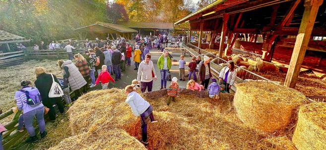 Menschen auf einem Bauernhof bei einem Fest mit Heuballen und Tieren.