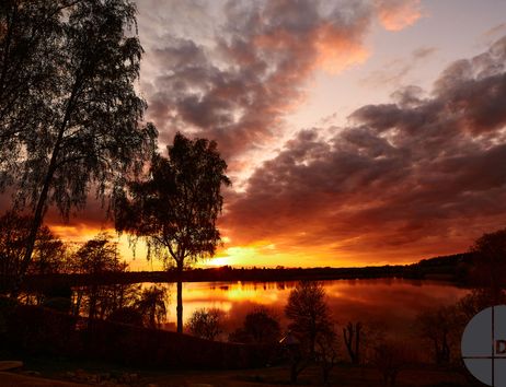 Dramatischer Sonnenuntergang über einem See mit Bäumen im Vordergrund.