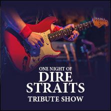 Gitarrist spielt auf einer roten E-Gitarre bei einer Tribute-Show für Dire Straits.