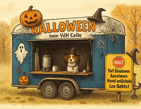 Ein Hund mit Hexenhut in einem Halloween-Stand mit Kürbissen und Spinnweben, daneben ein Schild mit Anweisungen.