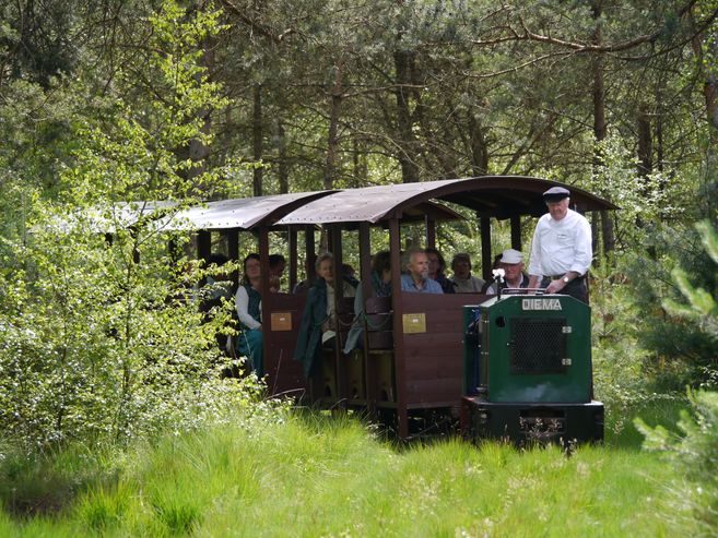 Eine kleine Bahn fährt durch einen Wald mit Passagieren in offenen Waggons.