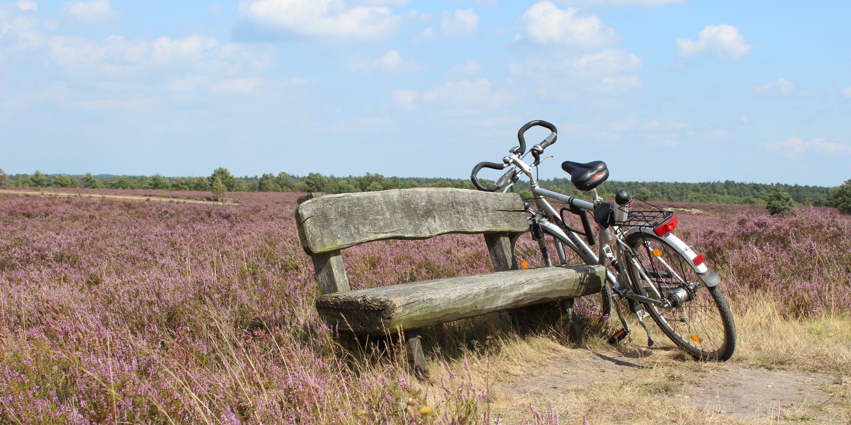 , © Schneverdingen Touristik