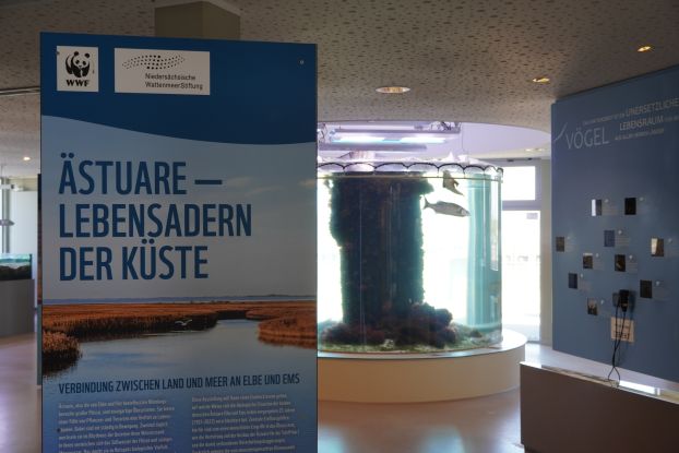 Sonderausstellung: Ästuare-Lebensraum der Küste!, © NPH