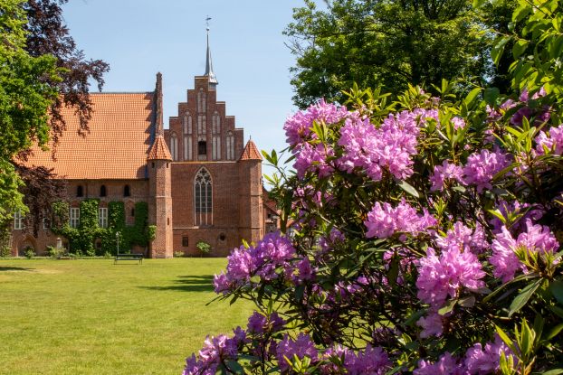 wienhausen-klosterviertel-fruehling-ccbysa-vdb-210604-20, © cc-by-sa