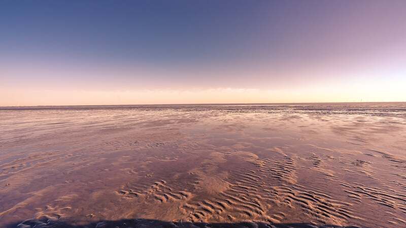 Weite Wattlandschaft bei Sonnenaufgang mit sanften Farben am Himmel.