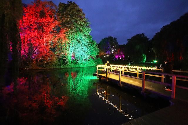 Ein beleuchteter Kurpark bei Nacht mit bunten Lichtern, die Bäume und einen Steg am Wasser erhellen.