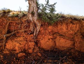 Rote Erde im Cañón Rojo