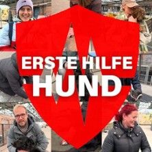 Collage von Menschen mit Hunden und einem roten Schild mit der Aufschrift 'Erste Hilfe Hund'.