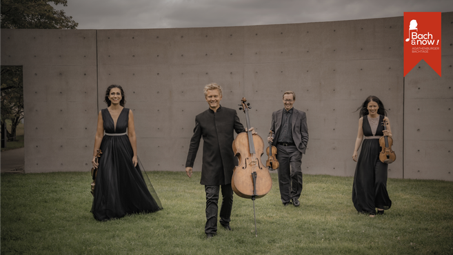 Vier Musiker in eleganter Kleidung mit Instrumenten vor einer Betonwand im Freien.