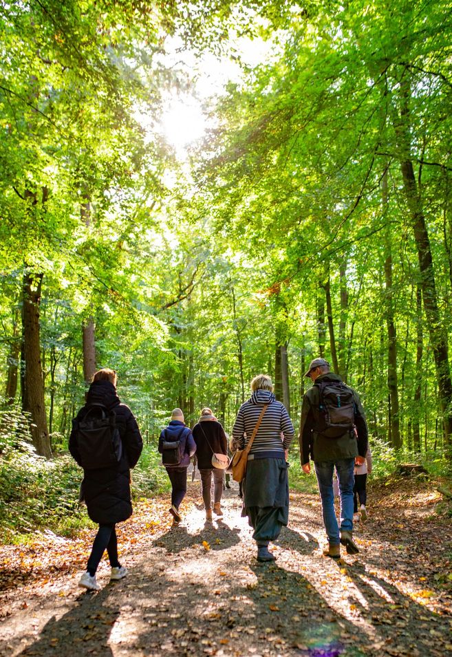 Eine Gruppe von Menschen wandert auf einem Waldweg im Frühling, umgeben von grünem Laub und Sonnenlicht.