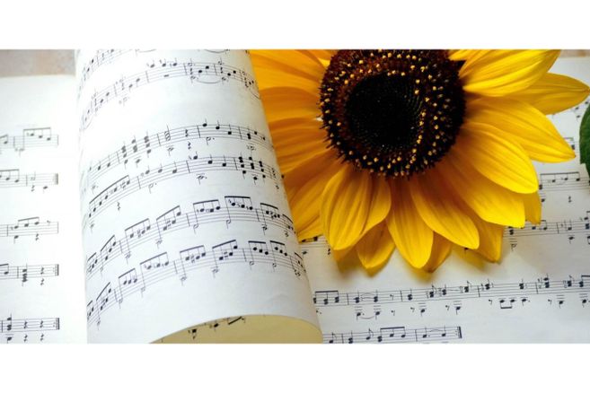 Eine Sonnenblume liegt auf einem aufgeschlagenen Notenblatt.
