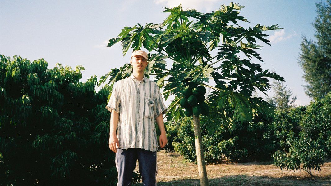 Lauer / Wulff / Strauß // Andrés Coll