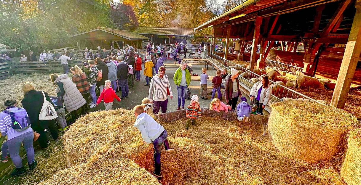 Menschen auf einem Bauernhof bei einem Fest mit Heuballen und Tieren.
