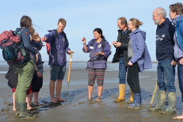 Führung: Wattwanderung vor dem Meldorfer Speicherkoog, © Schutzstation Wattenmeer e.V.