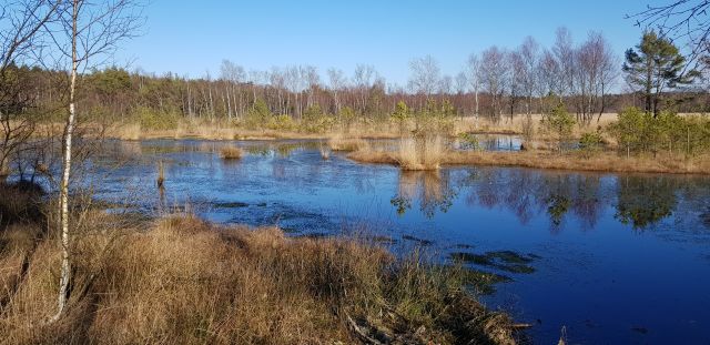 2019februarmk_2, © Schneverdingen Touristik