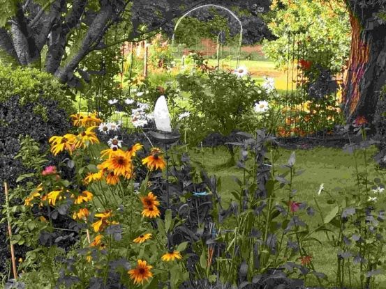 Aktionsmonat Mai: Garten-Genuss-Rundgang mit sachkundiger Führung, © Betz