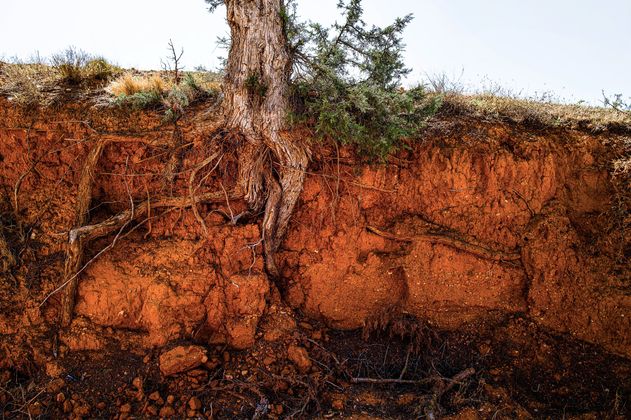 Rote Erde im Cañón Rojo