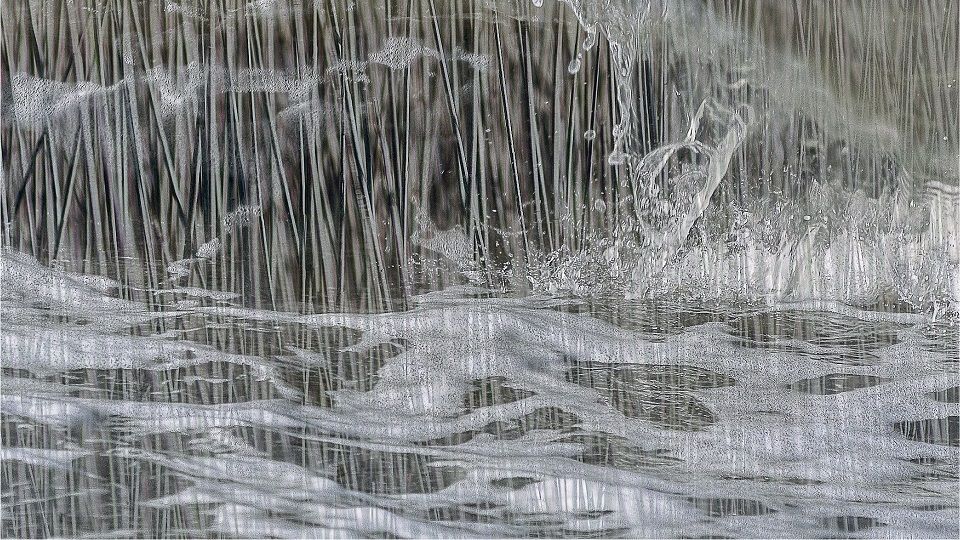 Nahaufnahme von Wasser mit Schaum und spritzenden Tropfen vor einem Hintergrund aus Schilfrohr.