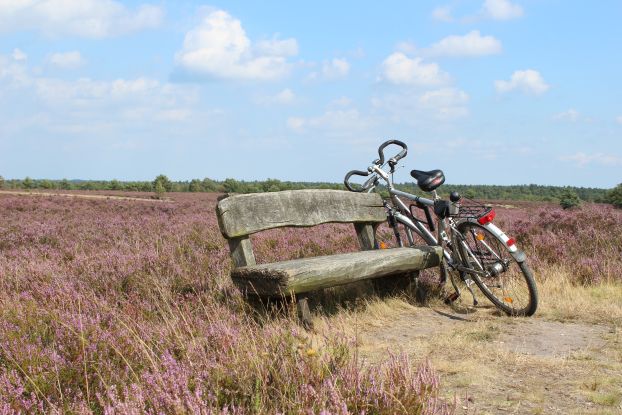 Radtour: Alte Höfe in der Heide, © Schneverdingen Touristik