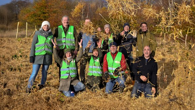 Ausstellung: Hamburg, deine Miniwälder, © Citizens Forests