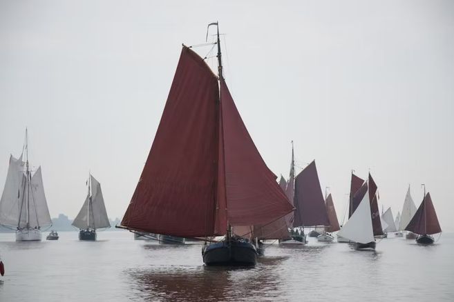 Mehrere traditionelle Segelboote mit roten und weißen Segeln auf einem ruhigen Gewässer.