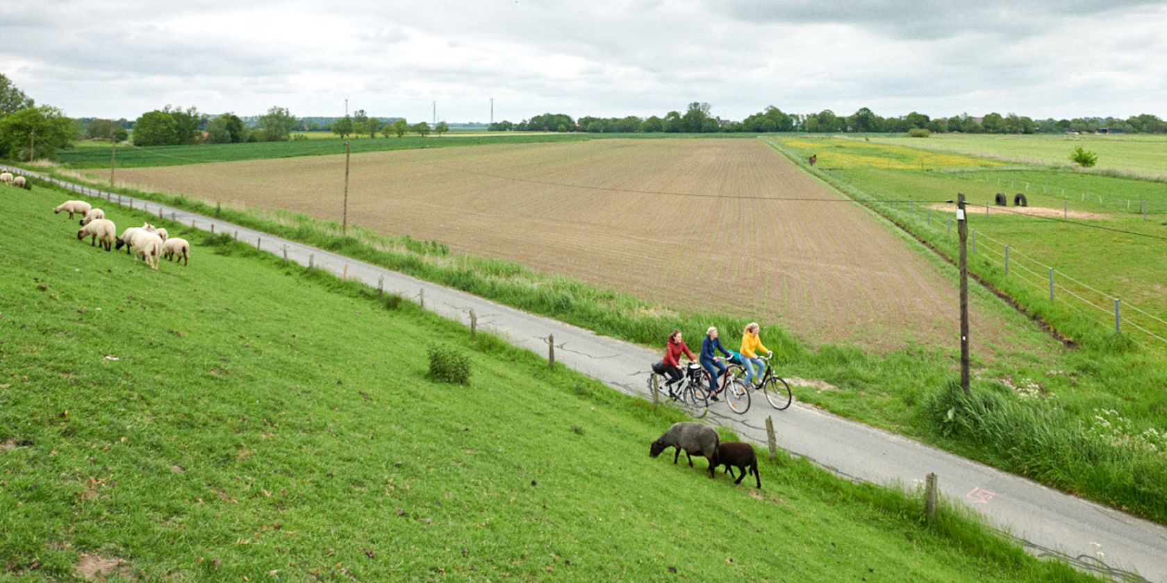 Geführte-Radtour-(c)-GDM,-Fotograf-Kratz, © GDM,-Fotograf-Kratz
