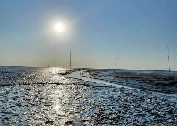 Watterkundung-Wremen, © NPH