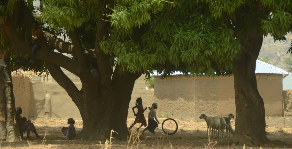 Kinder spielen unter einem großen Baum in einem Dorf.