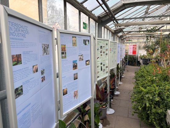 Botanische Weihnachtsfeier, © Helge Masch