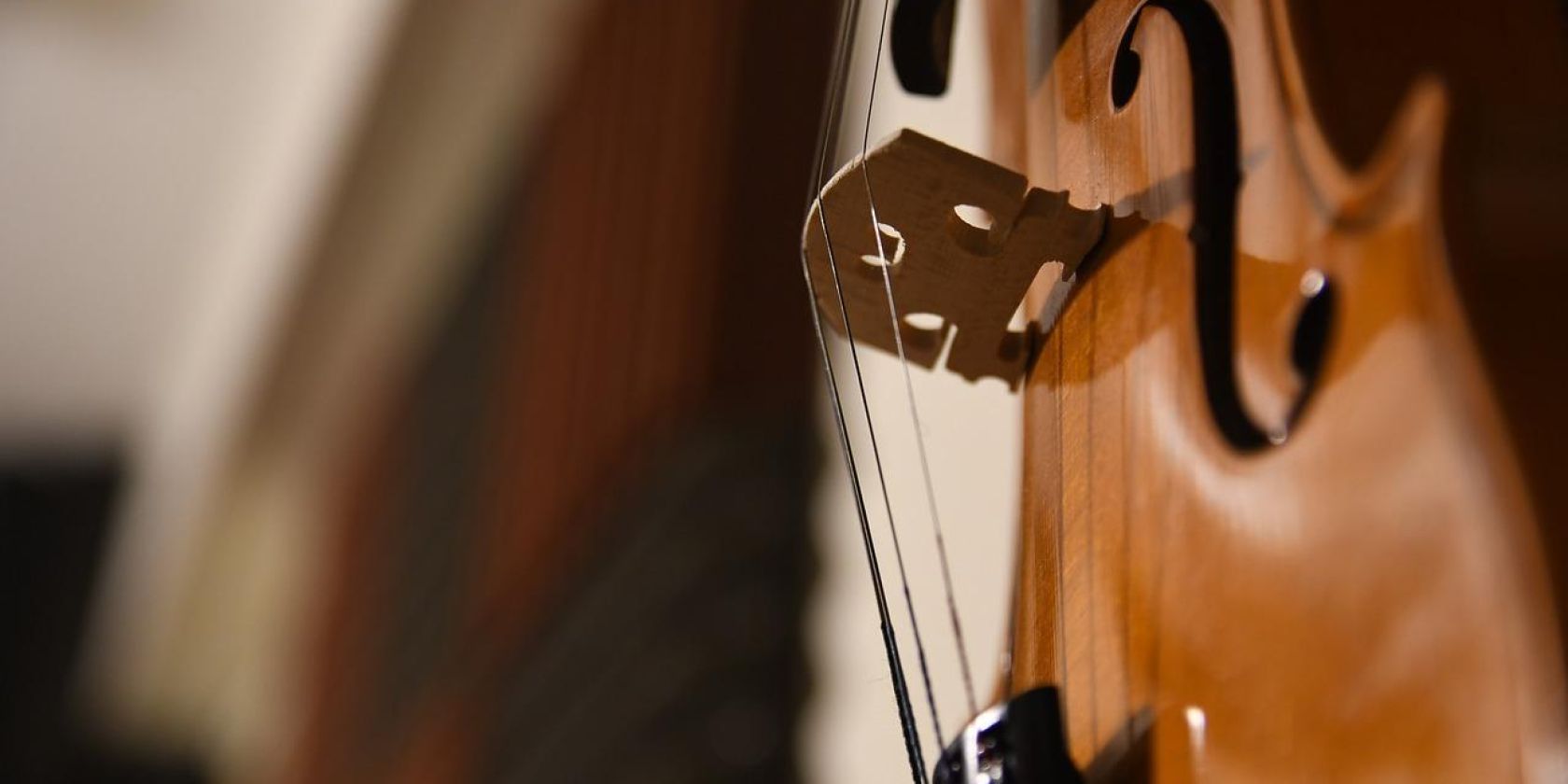 Violine, © Bild von MAGstd auf Pixabay