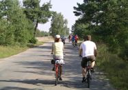 FFWMunster,Oelrich,GerdEngel,MuTou