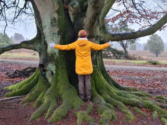 Waldyoga mit Miriam Lütjen, © Miriam Lütjen