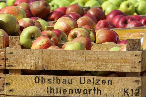 Wochenmarkt auf dem Großneumarkt, © Pixabay