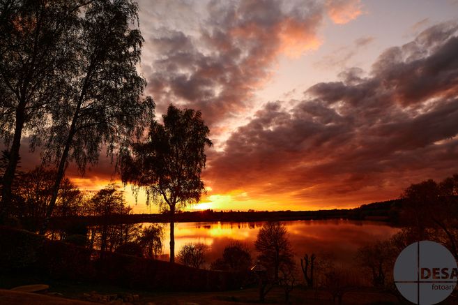 Dramatischer Sonnenuntergang über einem See mit Bäumen im Vordergrund.