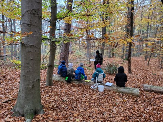 Baumbestimmung im Buchenwald., © Aktion Fischotterschutz e.V.