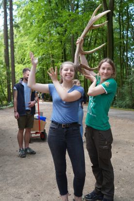 Geweihe erkennen Wild- und Waldrallye im Wildpark Schwarze Berge, © WSB