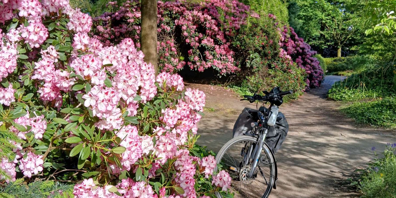 parkundblumen, © Waltraut Schulz