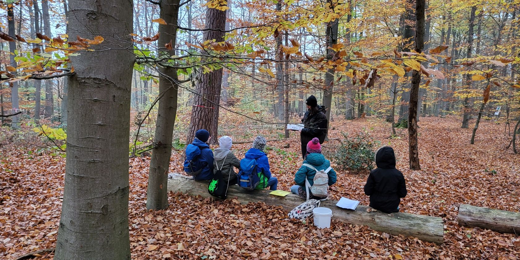 Baumbestimmung im Buchenwald., © Aktion Fischotterschutz e.V.