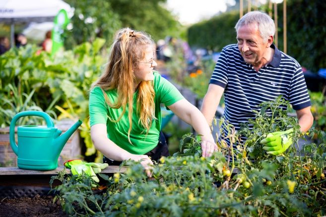 Zwei Menschen beim Gärtnern am Hochbeet