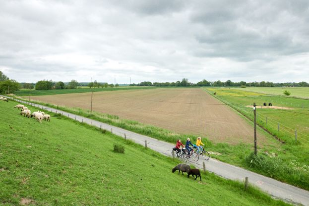 Geführte-Radtour-(c)-GDM,-Fotograf-Kratz, © GDM,-Fotograf-Kratz