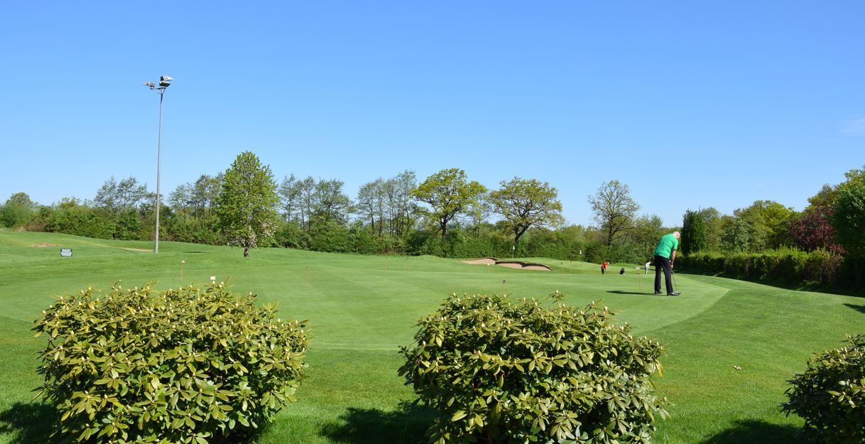 Ein Golfer auf einem Übungsgrün bei sonnigem Wetter, umgeben von Büschen und Bäumen.