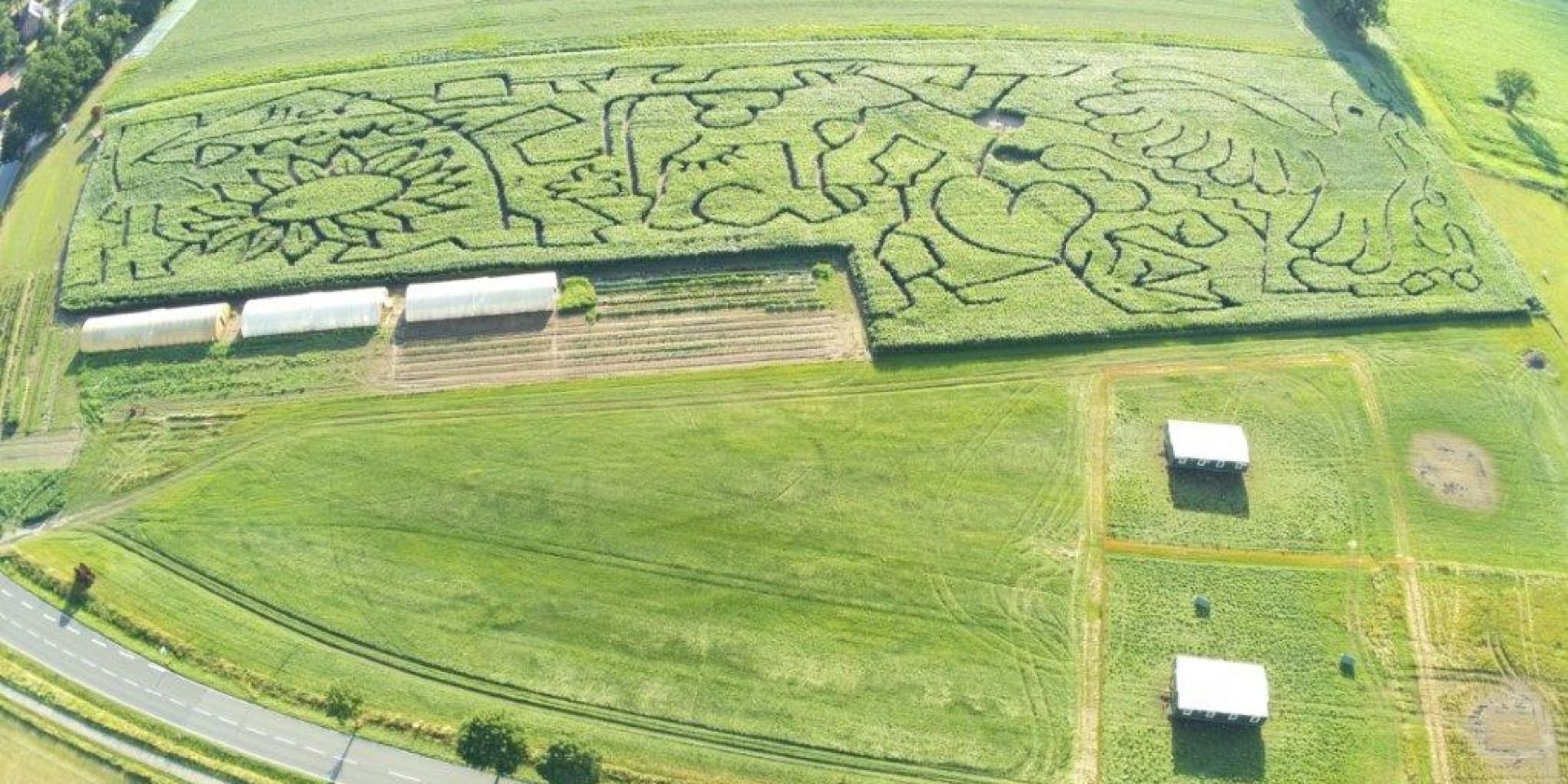 Maislabyrinth Südheide, © Lüneburger Heide GmbH